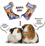 Жорка для грызунов